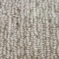 SY101 サムネイル