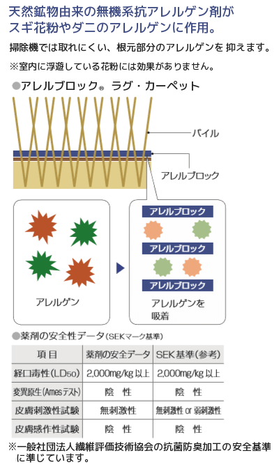 安全基準の図形の説明1