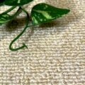 ナイロン 100％にアレルキャッチャーを付与 サムネイル