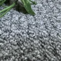 表面の凹凸がカーペットに陰影 サムネイル