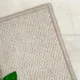 IVY/アイビー サムネイル
