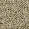 BC11 サムネイル