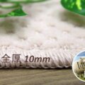 全厚：10mm サムネイル