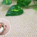 チクチクしない手触り サムネイル
