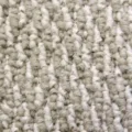 BL51 サムネイル