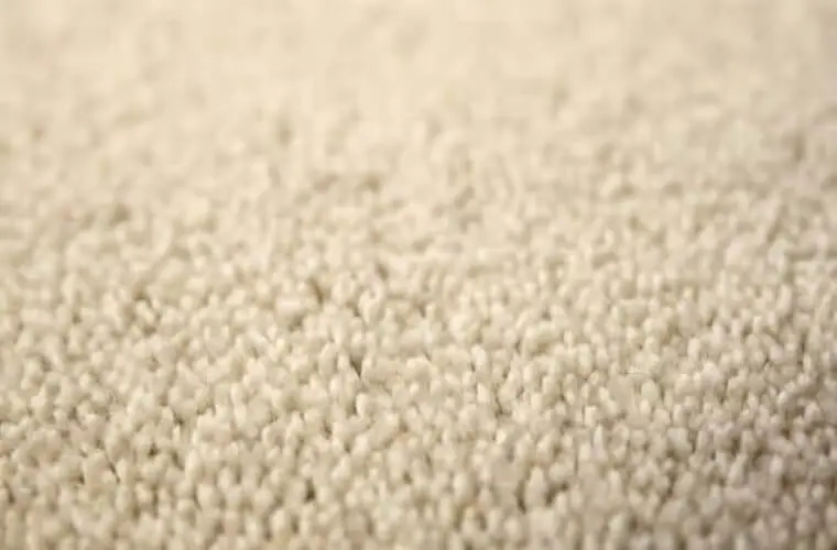 汚れに強いシャギータイプのカーペット「NINA/ニーナ」