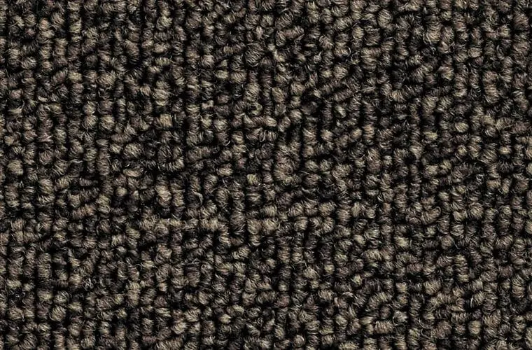 万が一でも安心！撥水と防汚付カーペット「COCOSE/ココス」