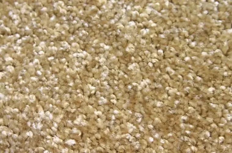 さらっとした感触！ショートシャギーカーペット「CHAD/チャド」