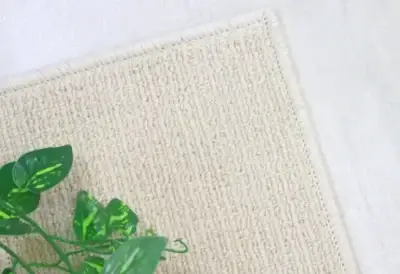 無地ベースにソフトなストライプのテクスチャー