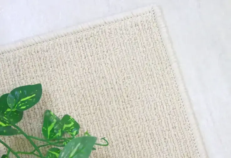 無地ベースにソフトなストライプのテクスチャー